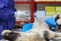 الزام مراکز درمانی به عقد قرارداد برای جمع آوری پسماند عفونی